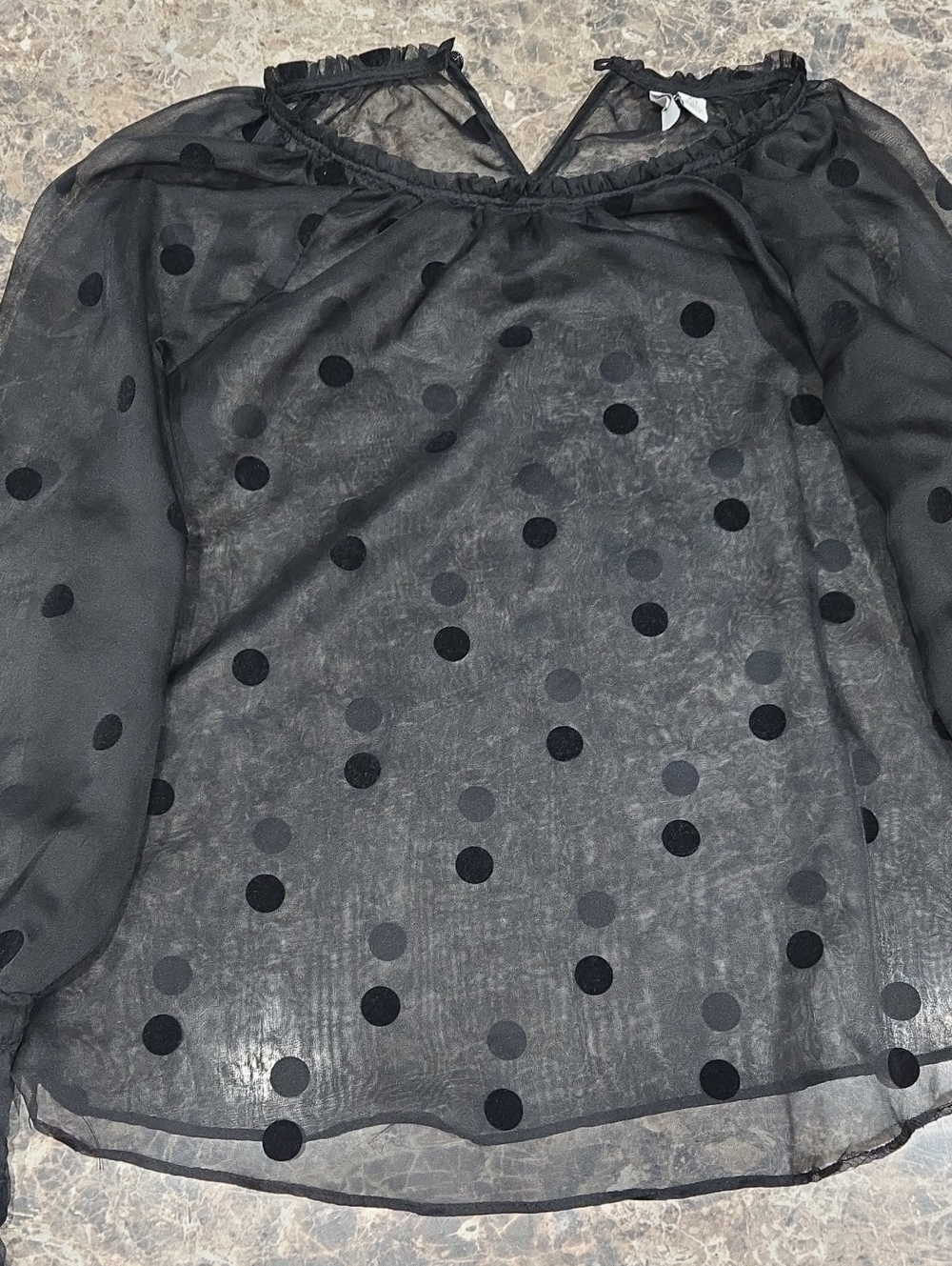 Sheer Black Polka Dot Blouse with Ruffled Neckline